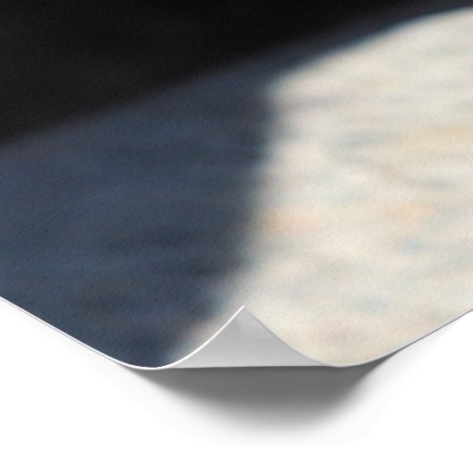 Poster Face d'écureuil (Coin)