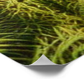 Poster Face féminine avec plumes florales et paon (Coin)