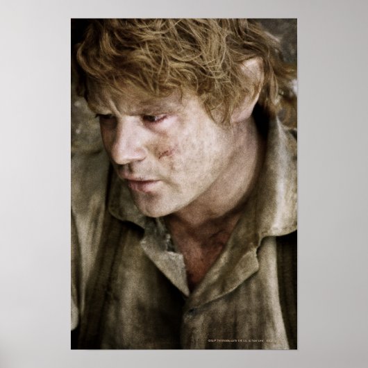 Poster Face latérale Samwise (Devant)