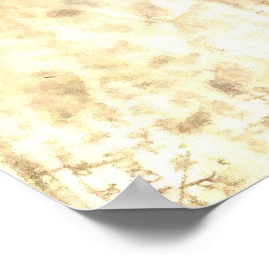 Poster Face sous la face 8 (Coin)