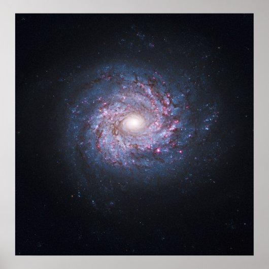Poster Face sur la galaxie spirale NGC 3982 de la galaxie (Devant)