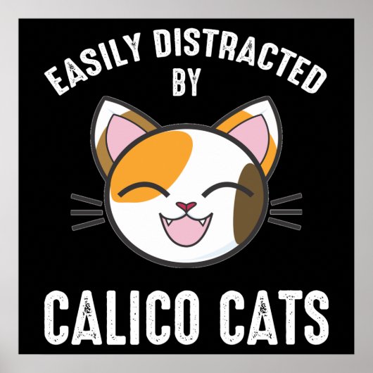 Poster Facilement Distrait Par Les Chats Calico (Devant)