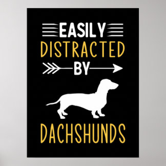 Poster Facilement Distrait Par Les Dachshunds