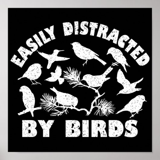 Poster Facilement Distrait Par Les Oiseaux (Devant)