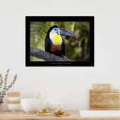 Poster Facturé par canal Toucan (Cuisine)