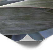 Poster Faded Succulant Details, 2017 (Coin)