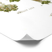 Poster Fagus silvatica (hêtre) (Coin)