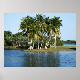 Poster Fairchild Tropical  Botanic Gardens