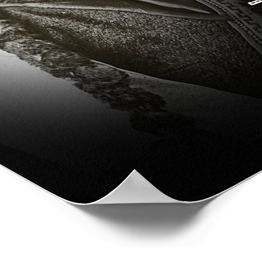 Poster Faire confiance au gouvernement (Coin)