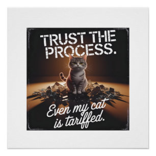 Poster Faire Confiance Au Processus Cat Office Mème Humor