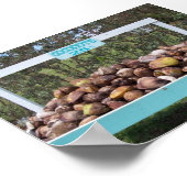 Poster Faire des noix de coco (Coin)