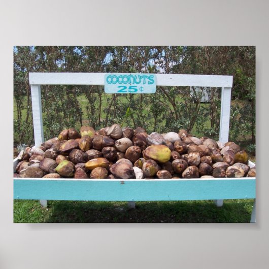 Poster Faire des noix de coco (Devant)