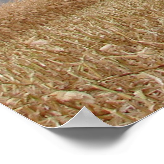 Poster Faire la course à la tempête (Coin)