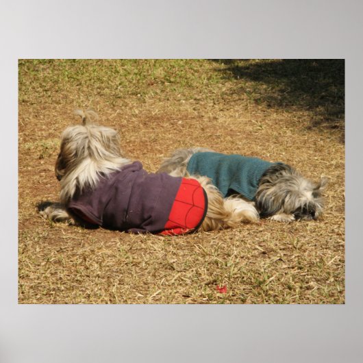 Poster Faire la sieste à Nong Khai (Devant)