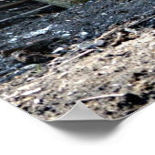 Poster Faire Le Pokey, Les Poulets De Pokey, (Coin)