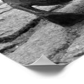 Poster Faire place aux colliers (Coin)