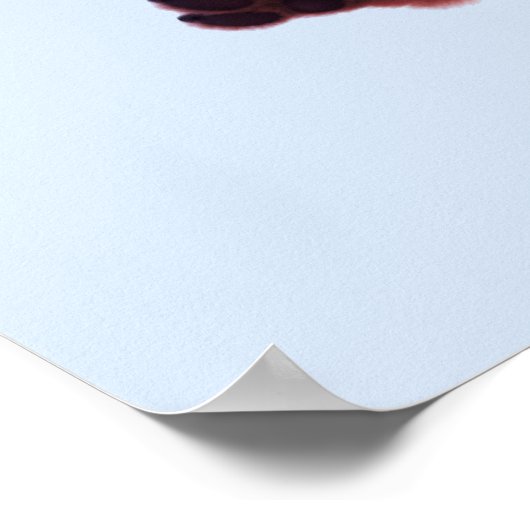 Poster Faire un bond dans l'aventure (Coin)