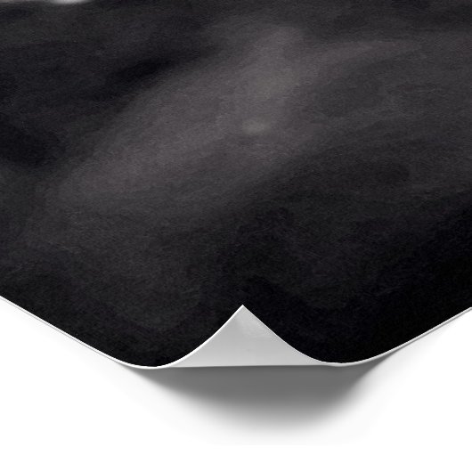 Poster Fairey Swordfish II 'Silverfish' (Coin)