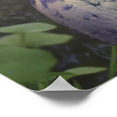 POSTER FAIRY DU DON FORESTIER (Coin)