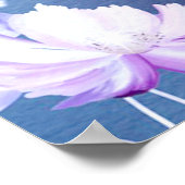 Poster Fairy Floral (Coin)