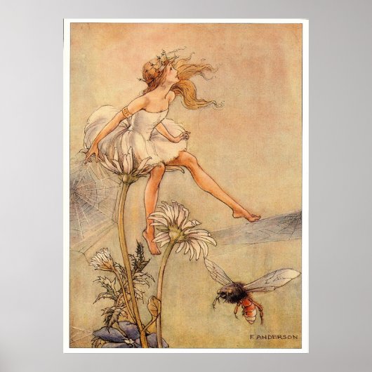 Poster Fairy on a Daisy - Imprimer (Devant)