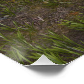 Poster Fairy Tale Prince (Coin)