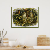Poster "Fairy with Owls" de Doyle - Imprimer (Cuisine)