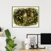 Poster "Fairy with Owls" de Doyle - Imprimer (Bureau à domicile)