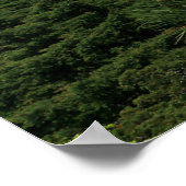 Poster Fairytale Sintra Palace photo, Portugal (Coin)