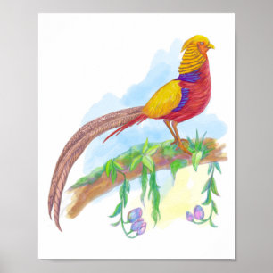 Poster Faisan doré d'oiseaux