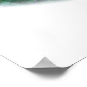 Poster faisan : Lady Amherst Head (Coin)