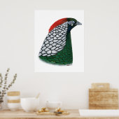 Poster faisan : Lady Amherst Head (Cuisine)