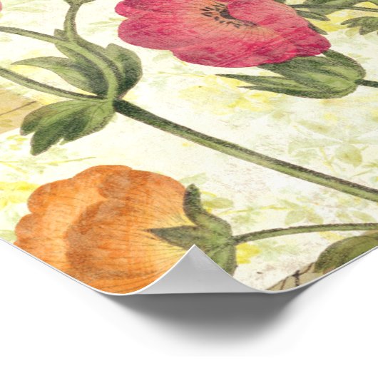 Poster Faisceaux colorés (Coin)