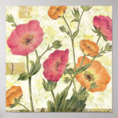 Poster Faisceaux colorés (Devant)