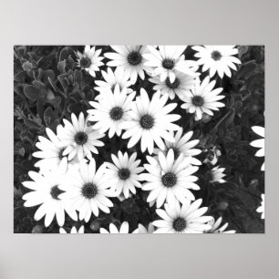 Poster Faisceaux en noir et blanc
