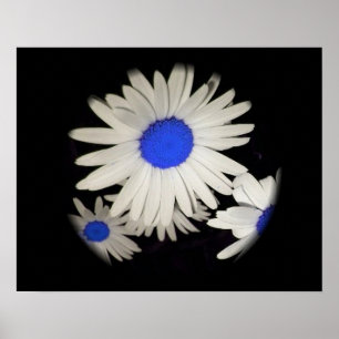 Poster Faisceaux flottants