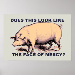 Poster Fait ce ressembler au visage de la pitié ? Porc