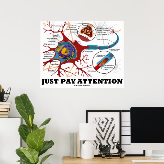 Poster Faites attention (Neuron / Synapse Anatomique) (Bureau à domicile)