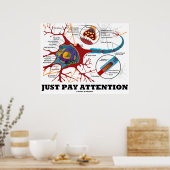 Poster Faites attention (Neuron / Synapse Anatomique) (Cuisine)