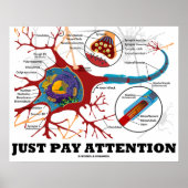 Poster Faites attention (Neuron / Synapse Anatomique) (Devant)