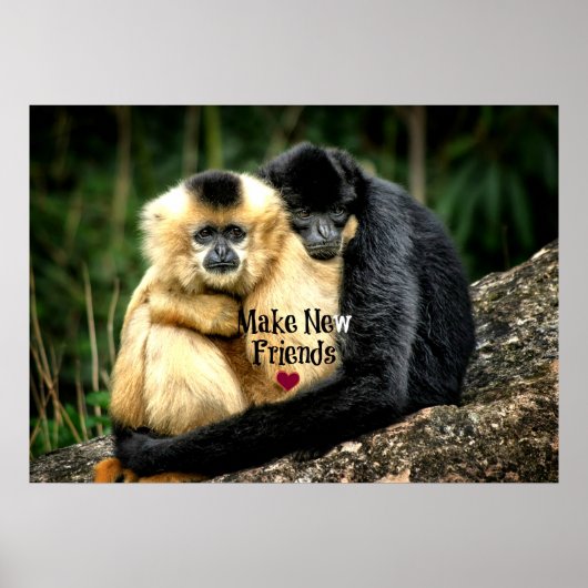 Poster "Faites de nouveaux amis" (Devant)