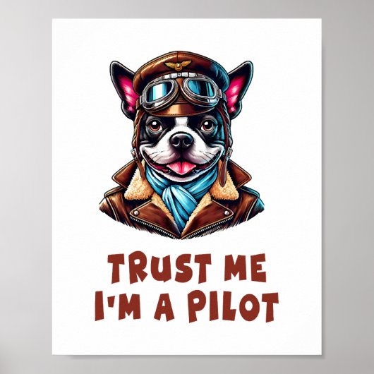 Poster Faites-moi confiance, je suis pilote (Devant)