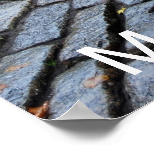 Poster Faites place aux colliers ! (Coin)