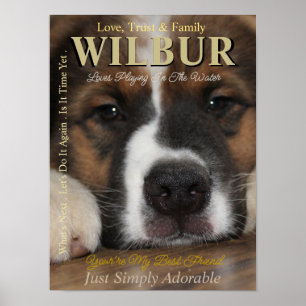 Poster Faites Votre Animal De Compagnie L'Étoile Ils Sont