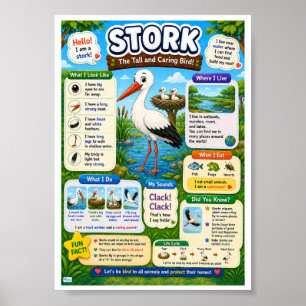 Poster Faits amusants sur la cigogne pour les enfants