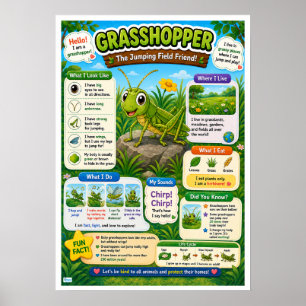 Poster Faits Amusants Sur Les Criquets Pour Les Enfants