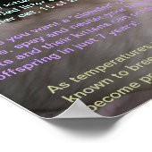 Poster Faits relatifs au chat 2 (Coin)