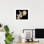 Poster Faits saillants floraux d'orchidées Phalaenopsis b (Bureau à domicile)