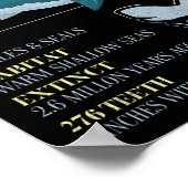 Poster Faits sur le Mégalodon Dent de Requin Préhistoriqu (Coin)