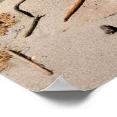 Poster Falaise au-dessus des peignes de plage à Dungeness (Coin)